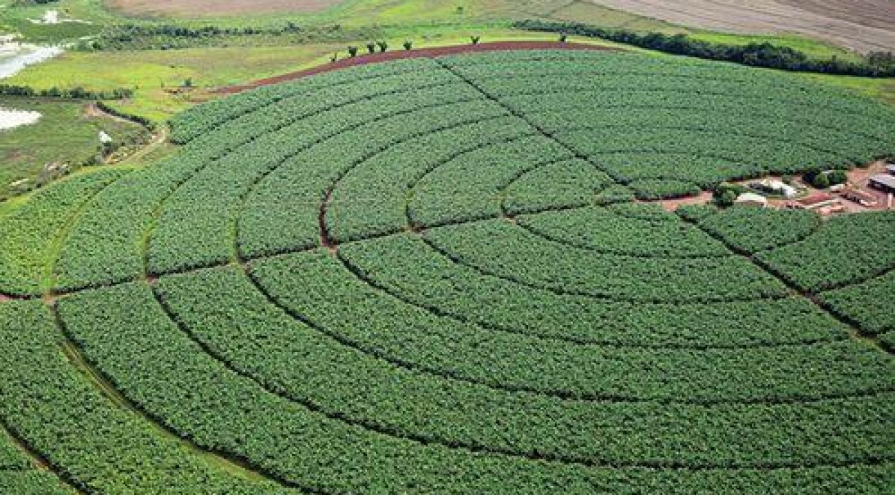 Brasil prevê reduzir emissão de 1 bilhão de toneladas de gases do efeito estufa na agricultura até 2030.