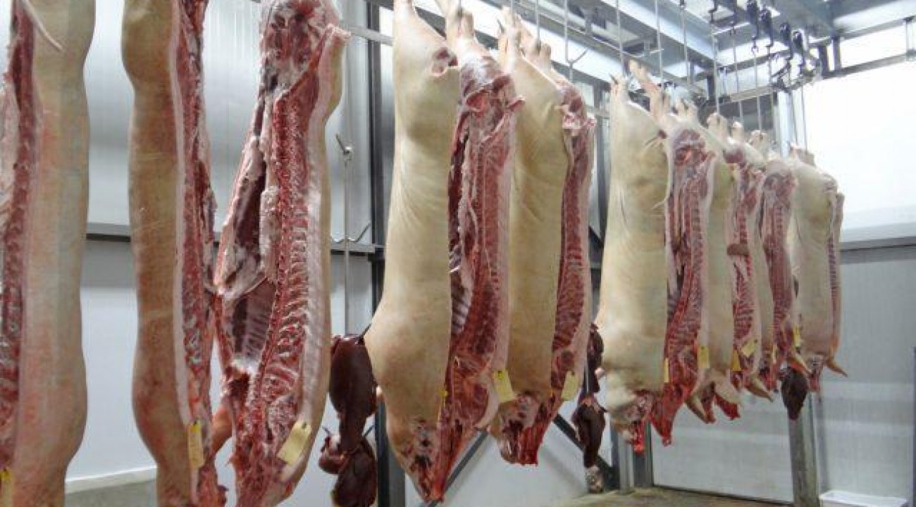 Santa Catarina bate recorde nas exportações de carne suína em setembro.