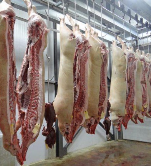 Santa Catarina bate recorde nas exportações de carne suína em setembro.