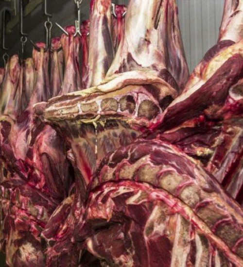 China libera importação de carne brasileira certificada antes de embargo.