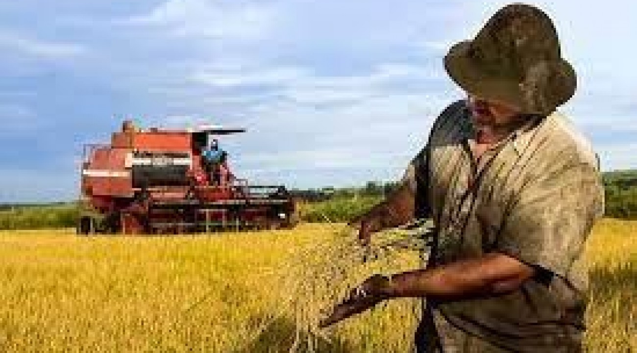 Presidente sanciona PL que destina R$ 3 bilhões a produtores rurais.