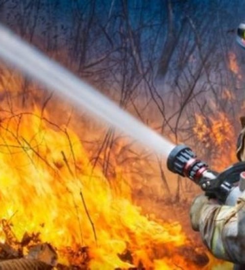 Bombeiros alertam sobre perigos de queimadas em vegetação.