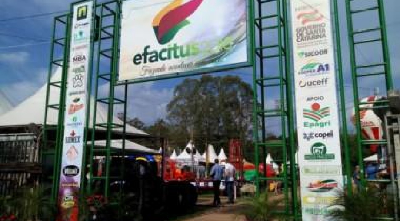 EFACITUS é adiada para Setembro de 2022.