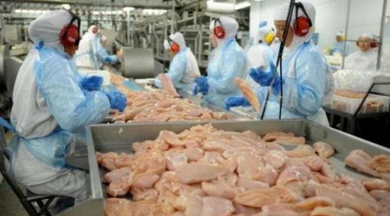 Agroindústrias de SC suspendem embarques de carnes para Rússia e Ucrânia.