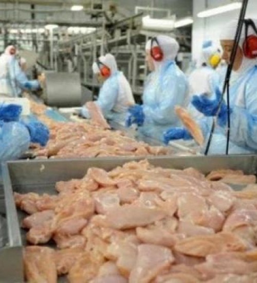 Agroindústrias de SC suspendem embarques de carnes para Rússia e Ucrânia.
