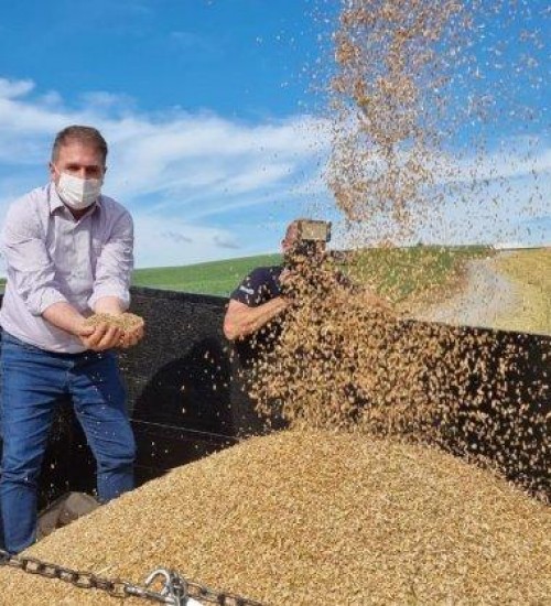 Estado investirá R$ 10 milhões para incentivar o cultivo de cereais de inverno.