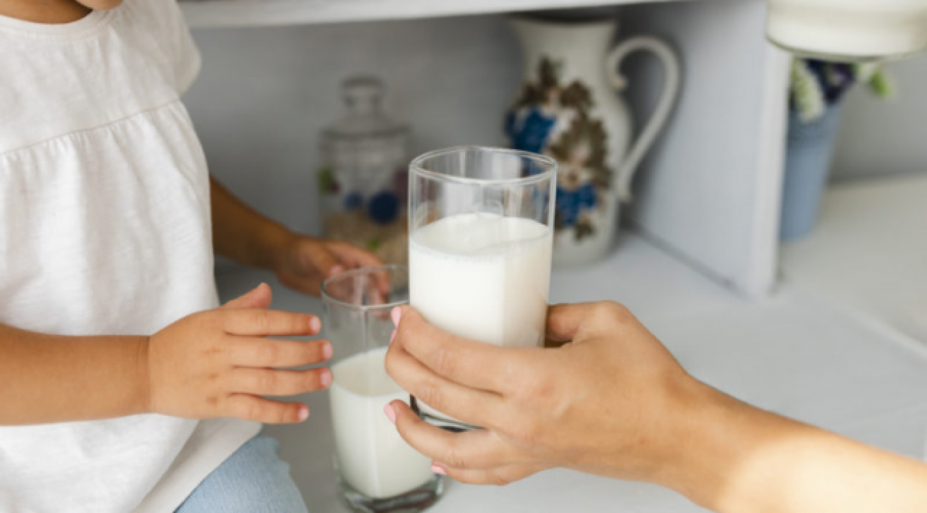 Valor do leite deve cair em SC após acordo entre governo e deputados estaduais.