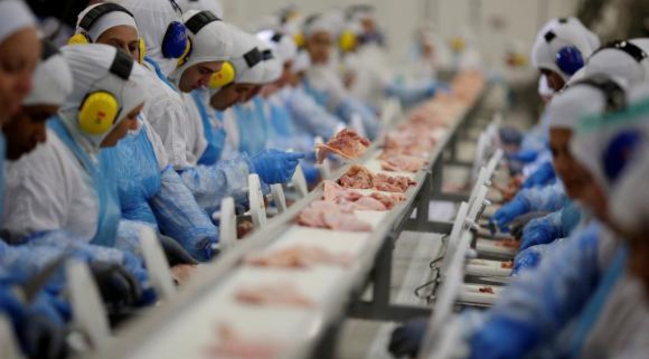Enquanto exportações de carne bovina crescem 33%, China reduz pela metade compras de proteína suína.
