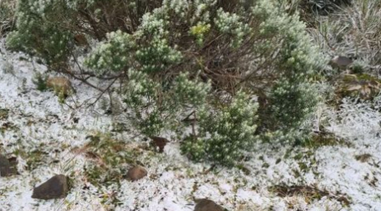 Nevou! Santa Catarina registra primeiros flocos de neve em 2022.