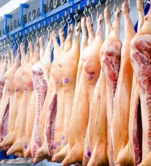 Conheça as unidades de SC habilitadas para exportar carne suína ao Canadá.