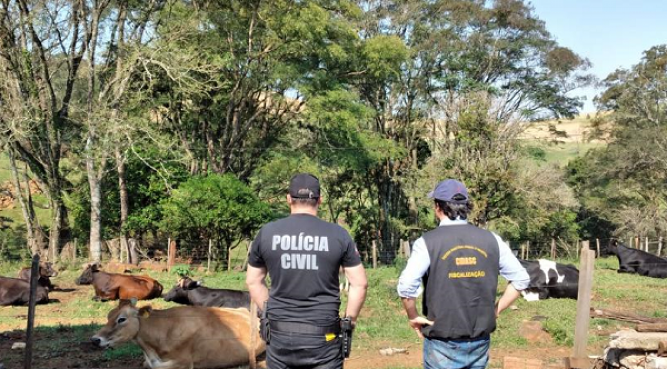 Operação ‘Boi nos Aires’ é deflagrada na região