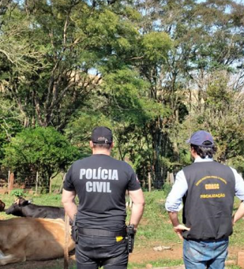 Operação ‘Boi nos Aires’ é deflagrada na região