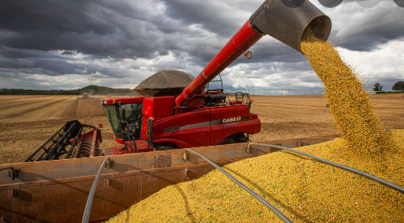 SC tem previsão de crescimento na colheita de grãos para safra de verão.