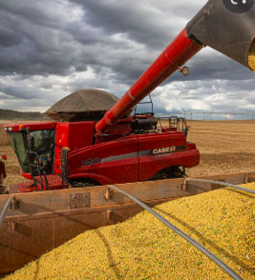 SC tem previsão de crescimento na colheita de grãos para safra de verão.