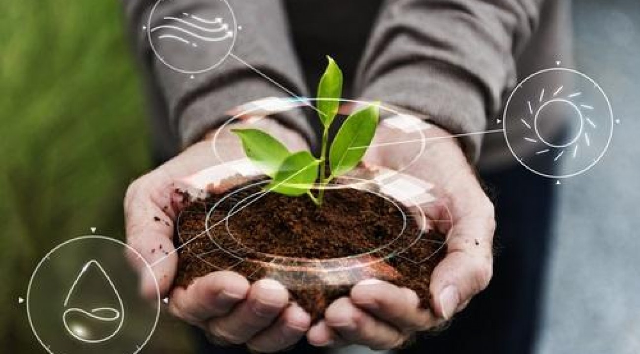 Agrotech: startups trazem tecnologia e inovação para o agronegócio.