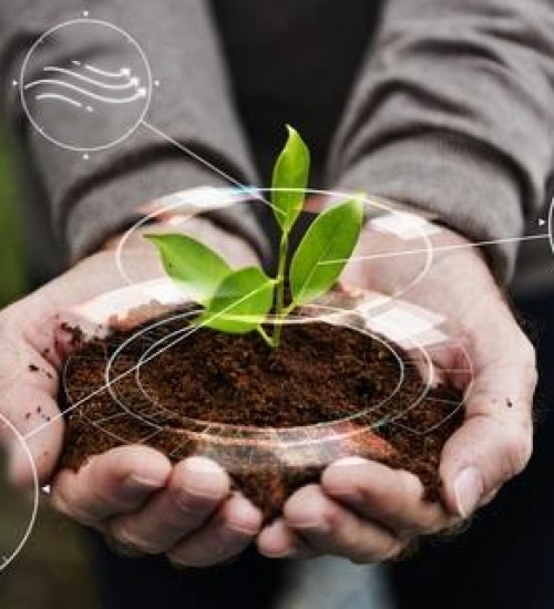 Agrotech: startups trazem tecnologia e inovação para o agronegócio.