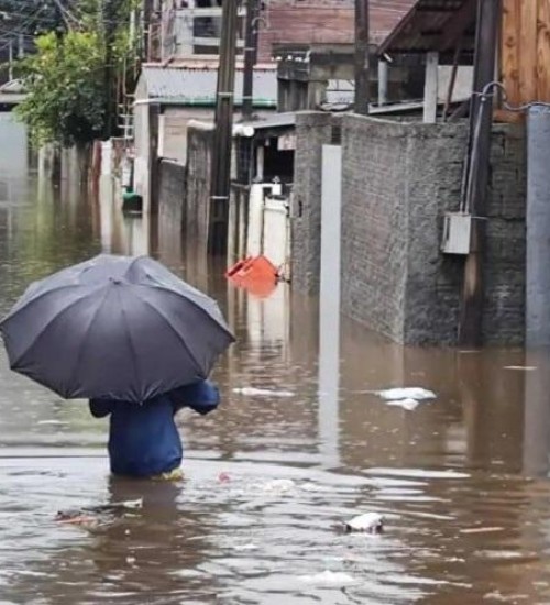 Enchentes registradas em SC em 2022 reforçam importância de ações de prevenção.