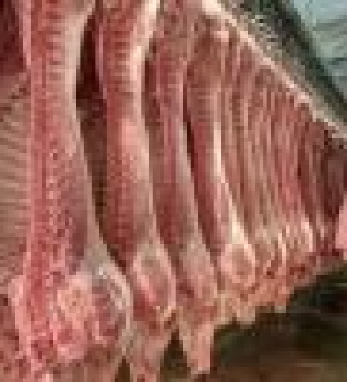 SC bate recorde na exportação de carne de porco em 2022 e mantém receita bilionária.