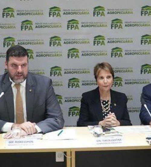 Frente Parlamentar da Agropecuária propõe reorganização ministerial para garantir conquistas.