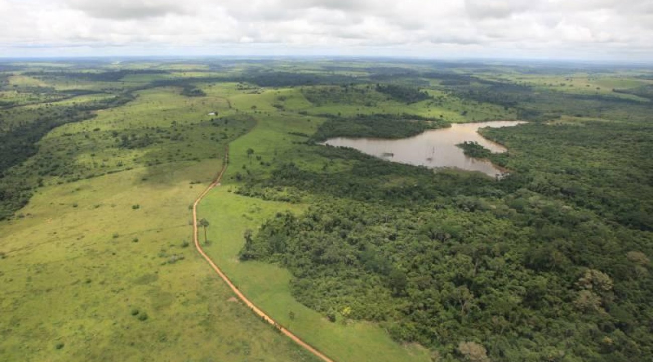 Cerca de 50% do desmatamento na Amazônia brasileira ocorre em florestas públicas não destinadas.