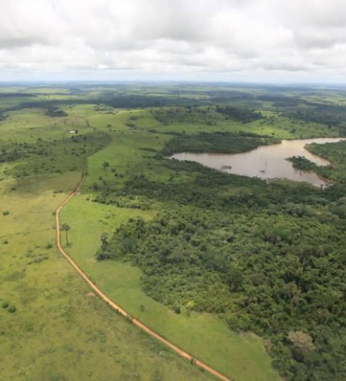 Cerca de 50% do desmatamento na Amazônia brasileira ocorre em florestas públicas não destinadas.