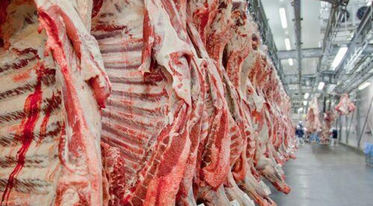 Exportações totais de carne bovina caem 29% na receita e 16% no volume, em fevereiro.