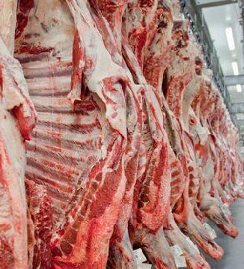 Exportações totais de carne bovina caem 29% na receita e 16% no volume, em fevereiro.