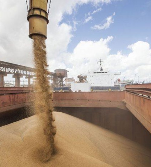China aumenta em 20% importação de soja brasileira.
