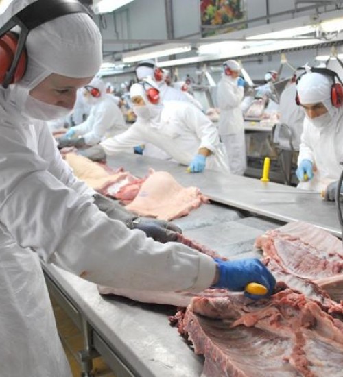 Exportação de carne de SC supera receita de US$ 1,6 bilhão.