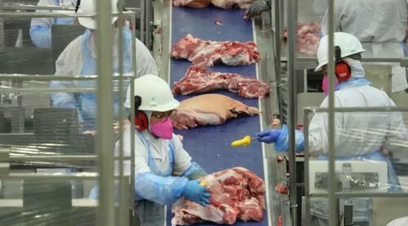 PR: preço da carne suína apresenta alta de 5% para o consumidor.