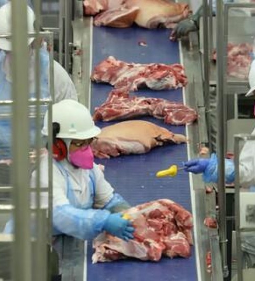 PR: preço da carne suína apresenta alta de 5% para o consumidor.
