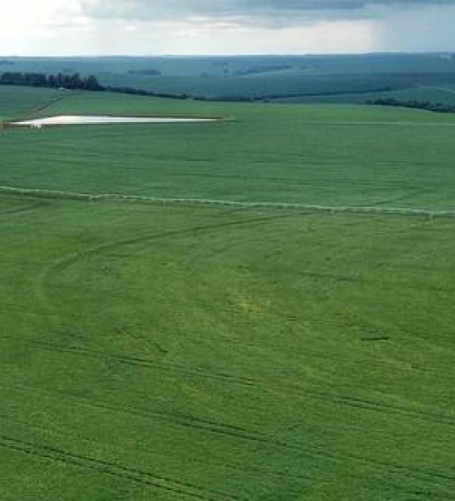Produtores de cereais de inverno, no Paraná, devem ficar atentos à possibilidade de prejuízos com geadas tardias.