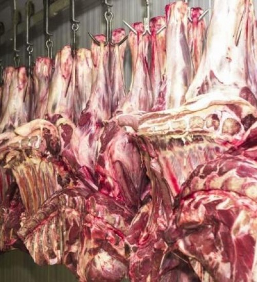 Receita de exportações de carne bovina do Brasil registra queda em maio.