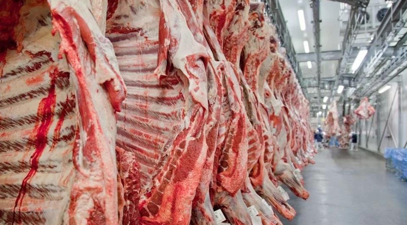 Exportação de carne bovina do Brasil cai 3,8% no semestre.