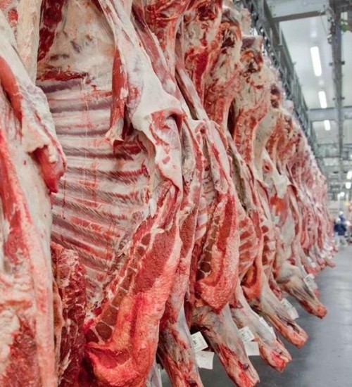 Exportação de carne bovina do Brasil cai 3,8% no semestre.