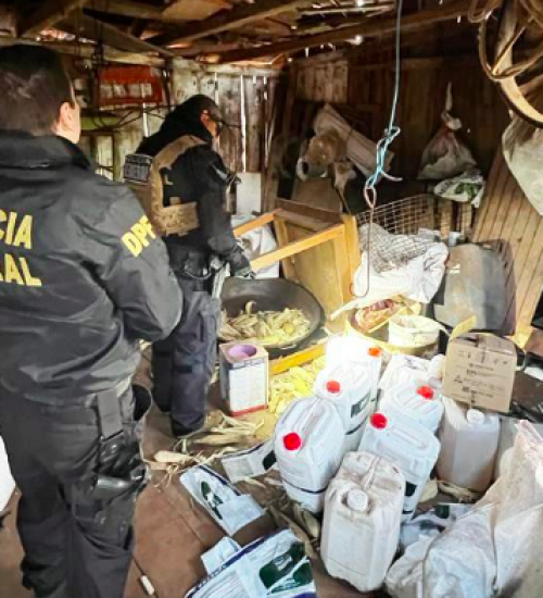 Operação combate comércio clandestino de agrotóxicos argentinos.