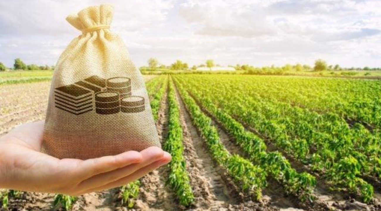 Plano Safra: esgotamento de crédito trimestral preocupa agronegócio.