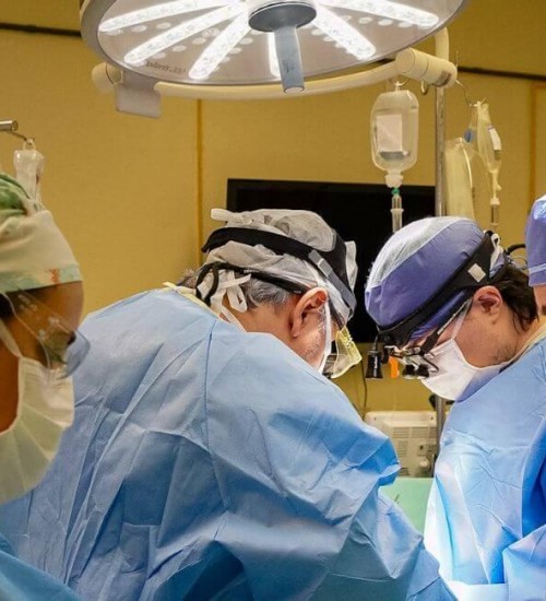 SC já fez mais de 50 transplantes cardíacos e lidera ranking nacional de doadores.