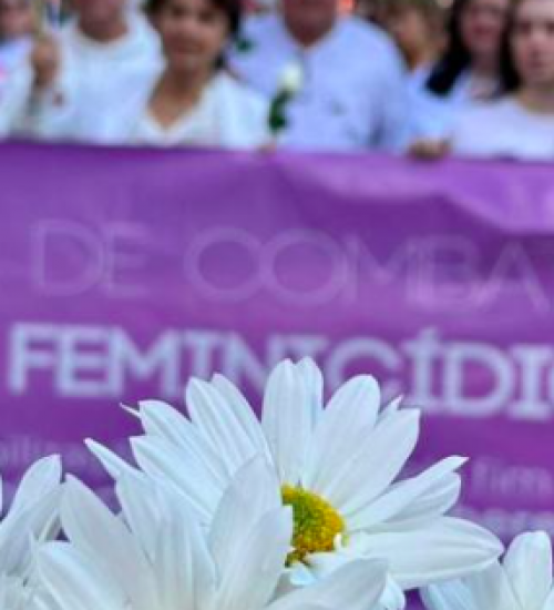 Número de feminicídios no 1º semestre supera o de 2022, ano do recorde no Brasil.