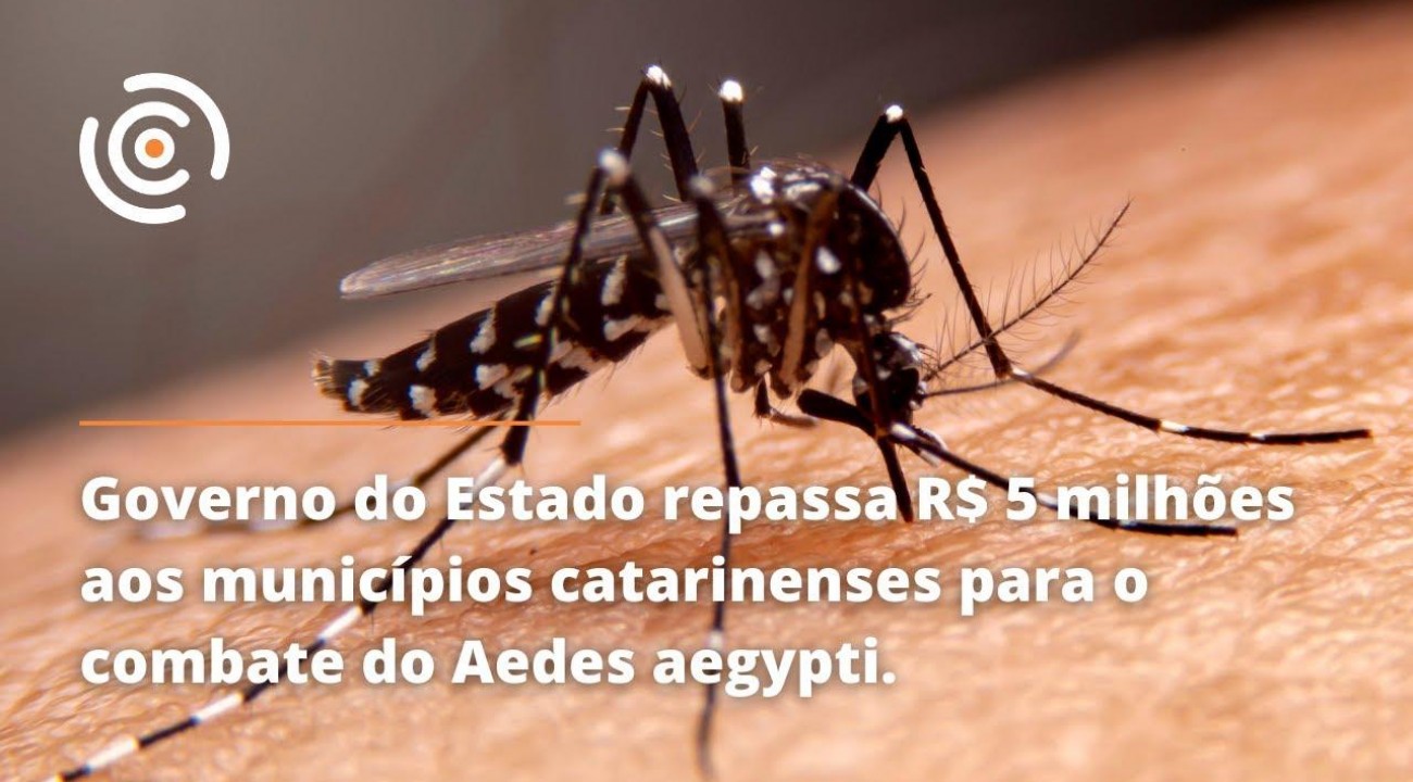 Governo repassa R$ 5 milhões para municípios catarinenses realizarem combate ao Aedes aegypti.