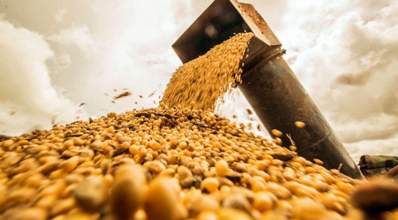 Brasil pode ter segunda maior quebra de soja da história