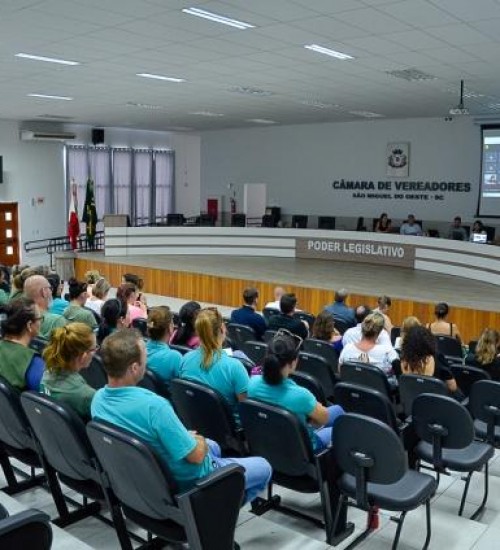 Municípios do Oeste participam de reunião técnica voltada ao cenário epidemiológico da dengue em SMOeste.