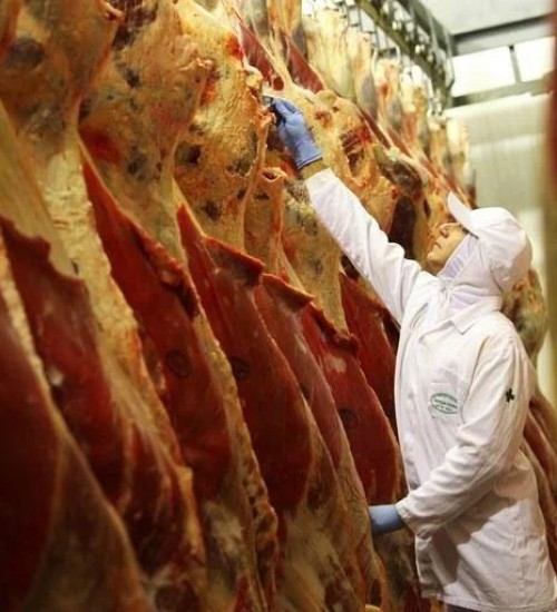 Brasil regula abate e processamento de animais para mercado religioso.