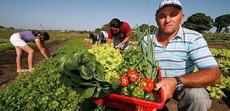 Proposta prevê que 30% das compras de alimentos do Governo de SC sejam da agricultura familiar.