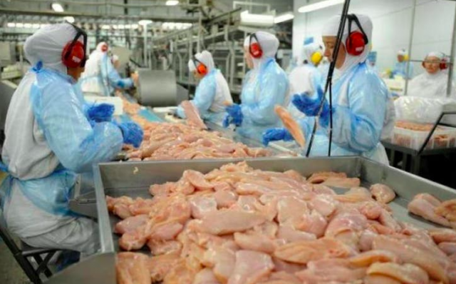 Santa Catarina tem o melhor resultado nas exportações de carnes em 28 anos