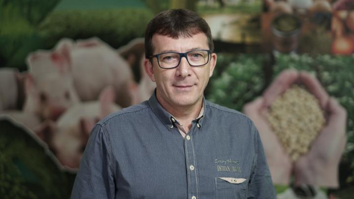 Suinocultura projeta 2026 promissor e aposta em retomada rápida